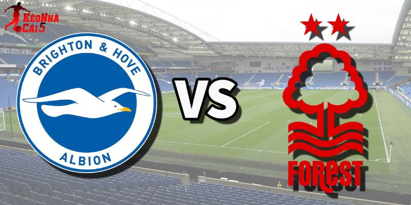 Soi Kèo Brighton vs Nottingham, 21h 01/03 - Ngoại Hạng Anh